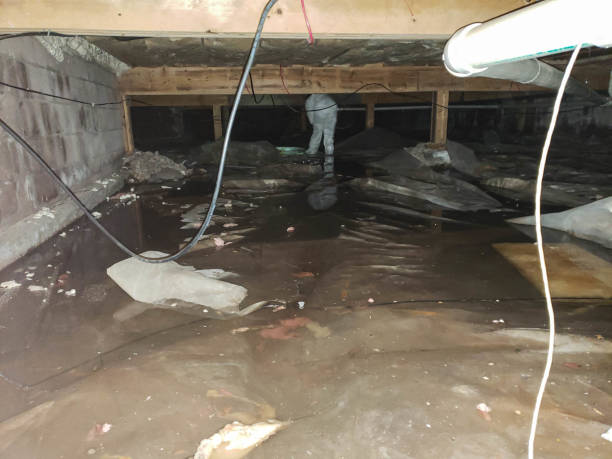 Water damage restoration